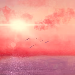 Serene Pink Sky