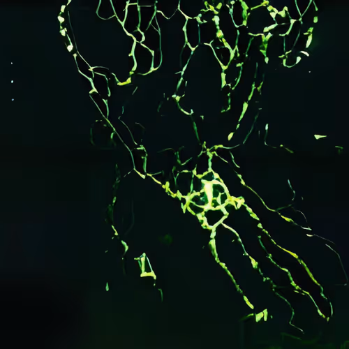 Item #38515723395715074936592332519846683354041814765322355432161968516485563285505 Media