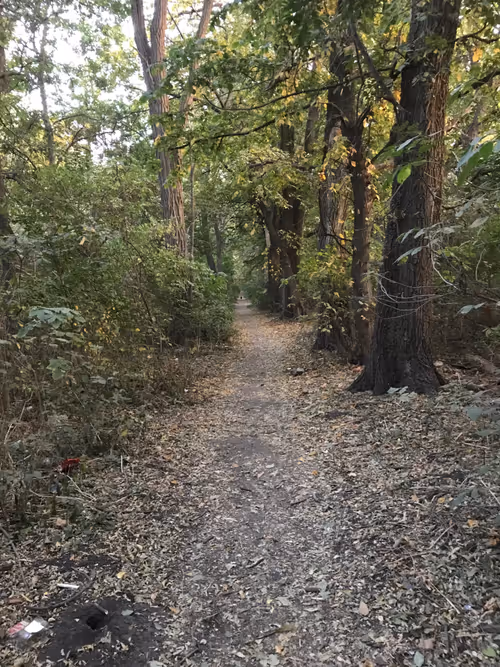 Item #16735986380044030292118555586425171249707802853386205615195813638753526743041 Media