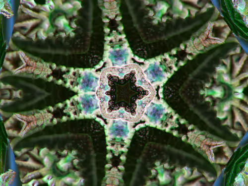 Item #83970981387443879143921485150900069530799783516997234463864977576568750604289 Media