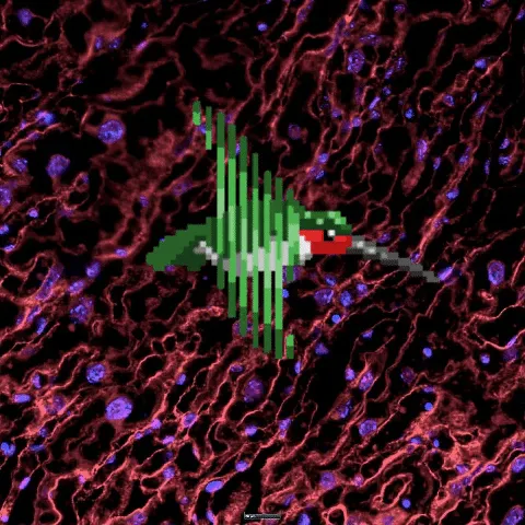 Item #59036297394639161381826872440903555021171026682663437733353340446271703351297 Media