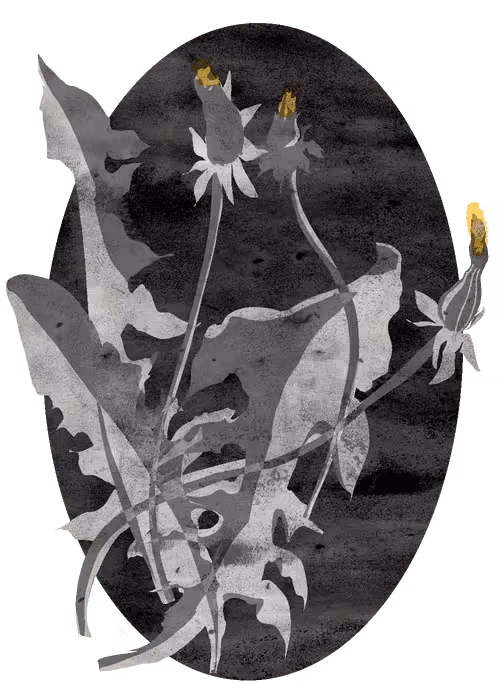 Item #36677197278733282434979004618714467068375419752773231098231422656555767562241 Media