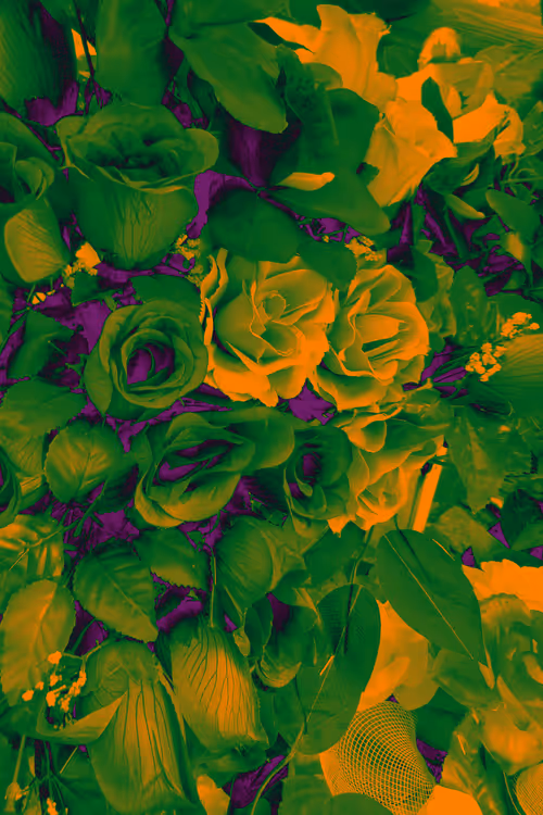 Item #10162537437224382031479019658551907585229278444242708151782220082408302051329 Media