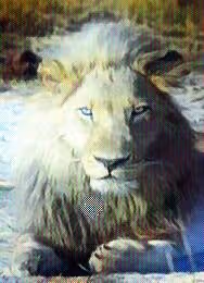 Item #72479605354561341502374921151267599278029520692900921041523845170311070744577 Media