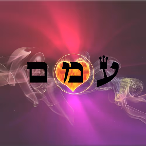 Item #60261209402415139582755570421670089329548312864668202741056926990554967834625 Media