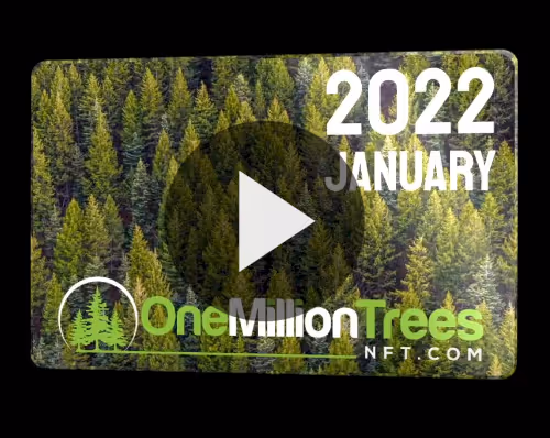 Item #25801989892845548526565125197399663131241948966790422528009322128745332473866 Media