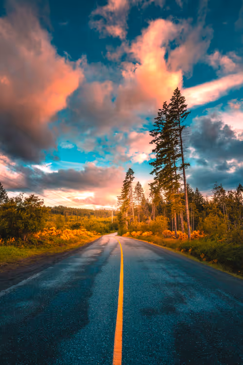 Item #62546128571173573861370652936856218284243546780344801453551937491529665347585 Media