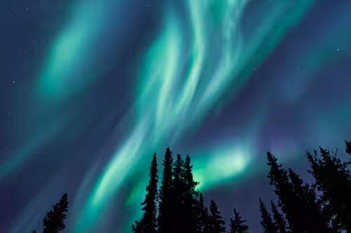 Item #21114313984647103593433237595897787432123742912884964135570648060200048656385 Media