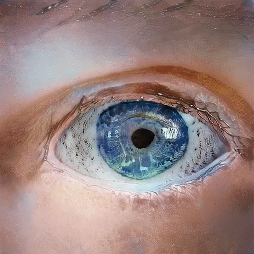 Item #81399465076040118700733303291408966070706959094068770015749770083933156802561 Media