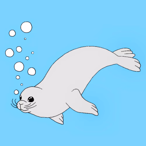 Seal Pup