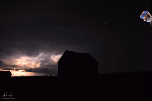 NikonNinja Collection