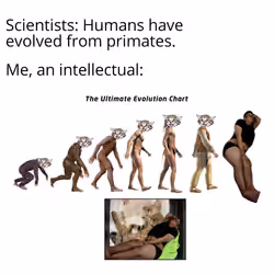 Darwin Evolution - Malaysian Hooman