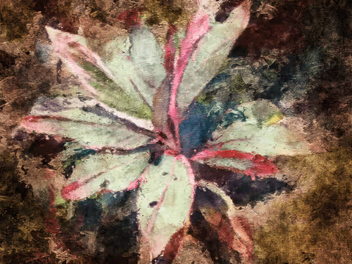 Item #69261177602478584146078213691104273677815526894191982293268528044259349102593 Media