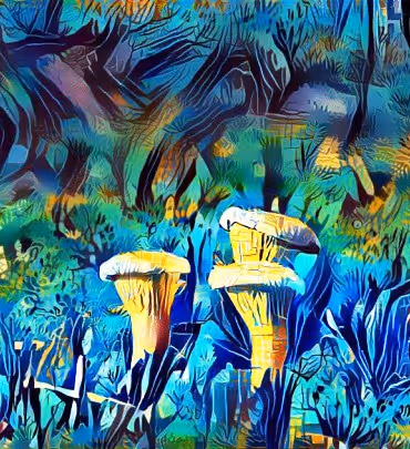 Item #98828088198769885069129805652987605738903563667474416042030428807120725999617 Media