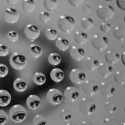 Eyes