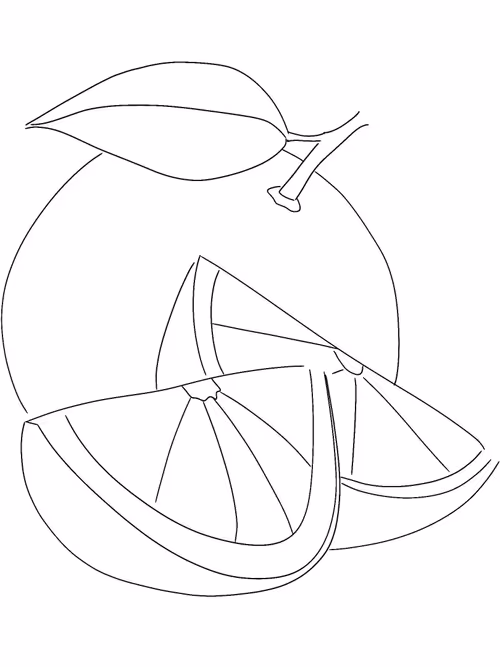 Item #88586504170275738881642373300592236200756239934994765531384634077660047212545 Media