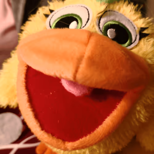 Lionheart66 Collection