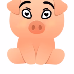 pig