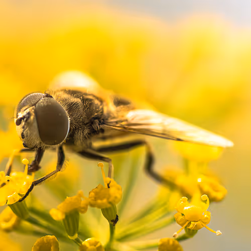 105090597216655980557633683149084672751347825439893935605656298044109608714241