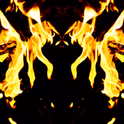 Phoenix #008