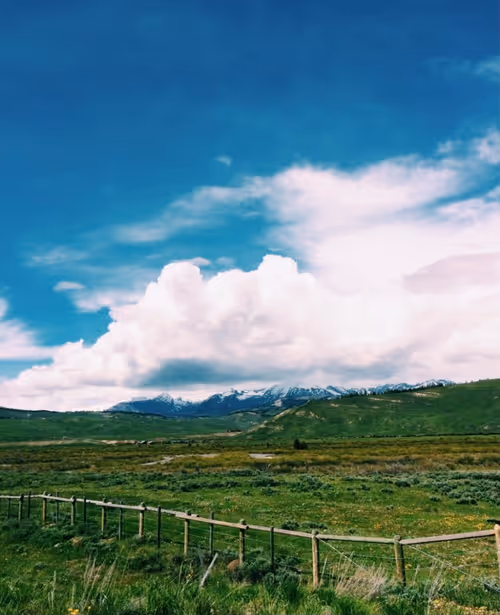 Item #38636187015463482433691281492566122321376547079854942751404297981702663307265 Media