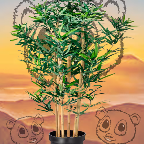 Og Positive Pandas