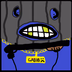 Robber Gabib Dude