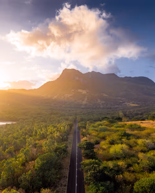 Item #64892573542216553225063327700336004171019867697641980949815581352515329851393 Media