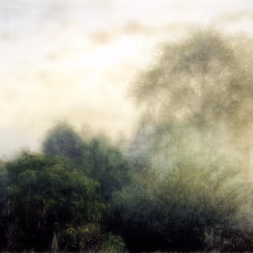 Misty Morning