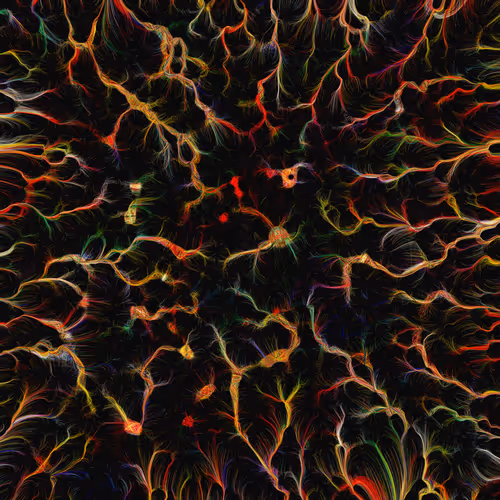 74011109513159304894558377152860080667648997857135590135513699229727503417345