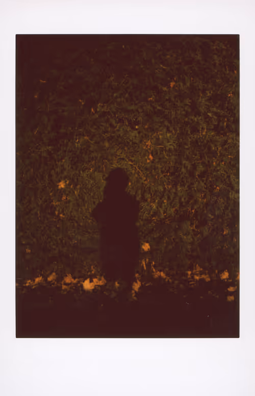 Item #106002358755633072780688393344306535131574018413591107715624238117419571216385 Media