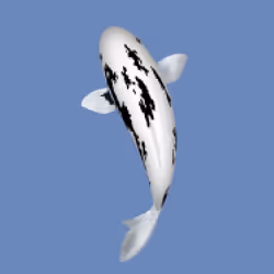 85890538515849146191794191908996501016024634704301377485849142458568576860161