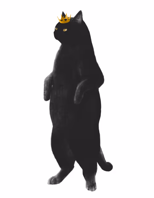 Item #24618594739772325081071012251968077253983773594612099830659053264560568926211 Media