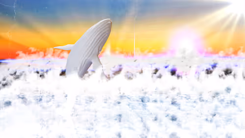 Item #34407012467013264369072826680281558624243883765584913843852975237569896775681 Media