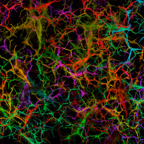 Item #50918555062582210159273167721725581522404743190091886750106034861902888173569 Media