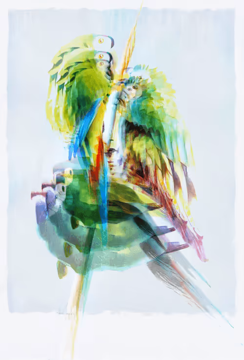 Item #12489479975597442904075550683828375763724097924832948667486829914065182130177 Media