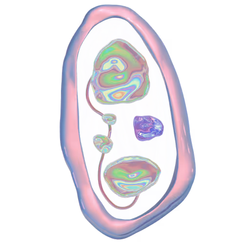 Item #34652949284347632822085905182730305137085110500994082201086763896761172885505 Media