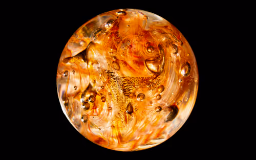 Item #54266520820874875911004119181556815792333680736518338943070460630694818217985 Media