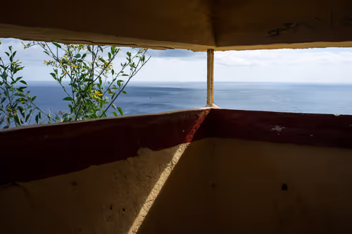 Item #88837150709499798352031986971363165703044907958800399059978422767803365851137 Media