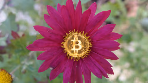 Item #84817653643574440536575130473169128135848323213030537748053030950190186496001 Media