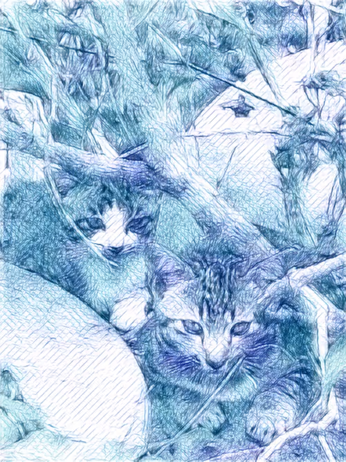 Item #81269833061274051173789884418282317830923519221172308843662164466977422180353 Media