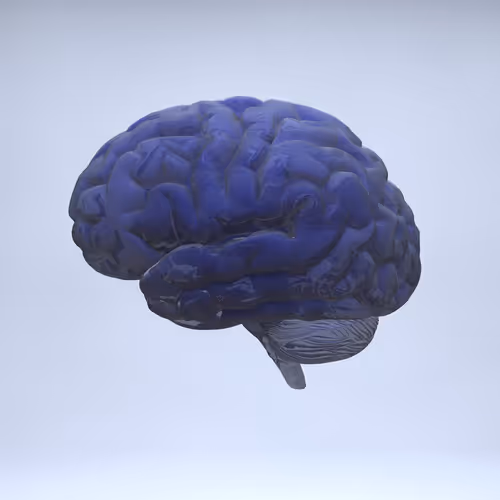 Item #77412820926303725204956055566925211190020908428863033075197849144554235625473 Media