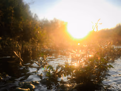 DontFamous__Xx Collection