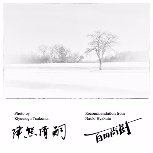 Item #50363599063163147153613145821536573388188757472313701897706766267081478373377 Media