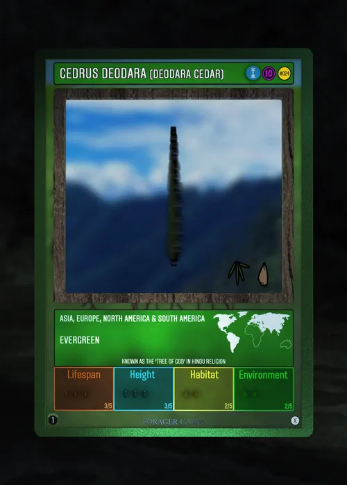 Item #73412372274297784710279054145181842019162569346562246022835392856060216737799 Media