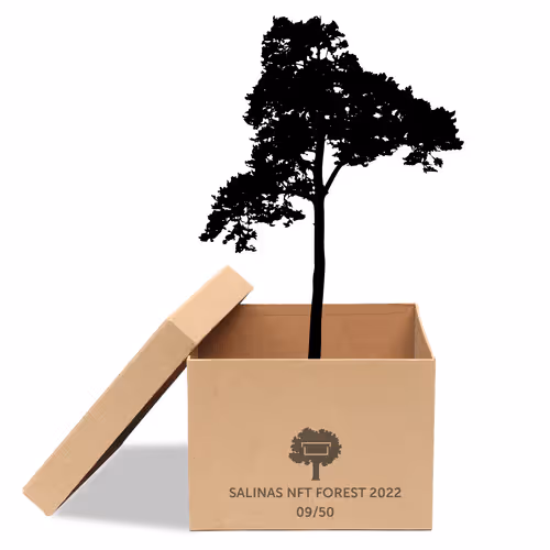 Item #63532776318757439562276927313719991273687356279339277108967620970626303393793 Media