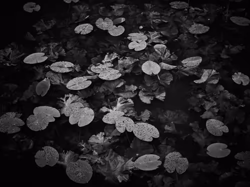 Item #81425468840217938130335513187731669853655760223415782332089084425048747409409 Media