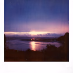Polaroid land #6