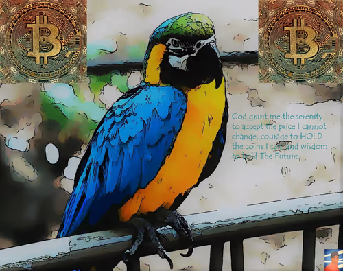 Item #32110930199278690668944437014093757879624799145580780104816925819094068887553 Media