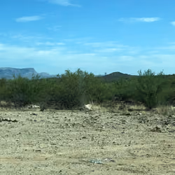 landscape1